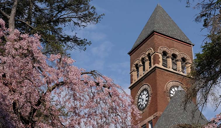 Old Main in spring