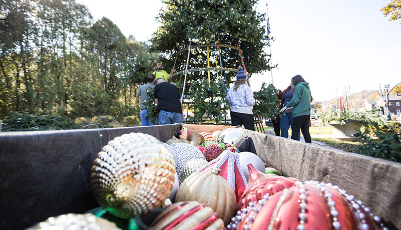 Tree being assembled and decorated