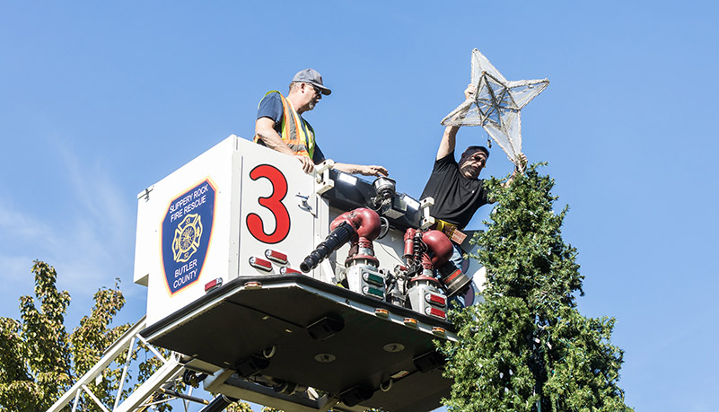 Tree being assembled and decorated