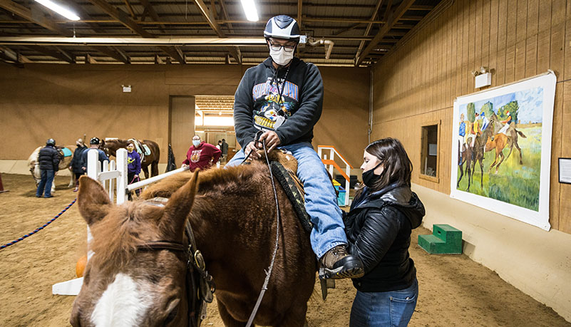 Vets with horses