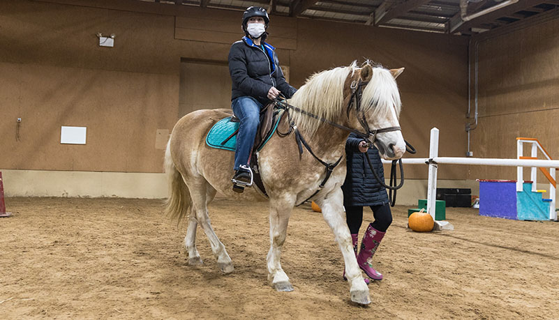 Vets with horses