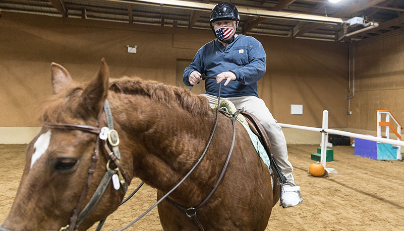 Vets with horses