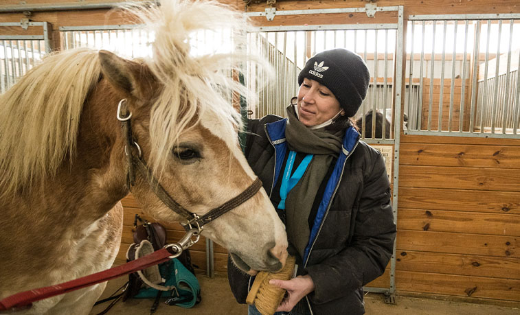 Vet with a horse