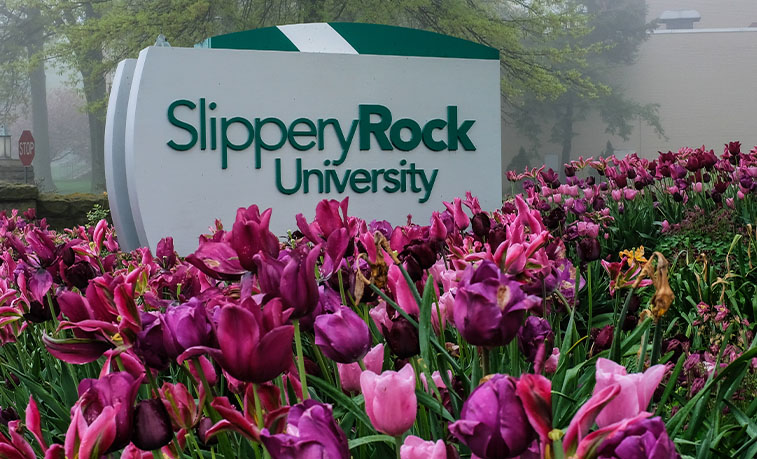 Campus sign and flowers