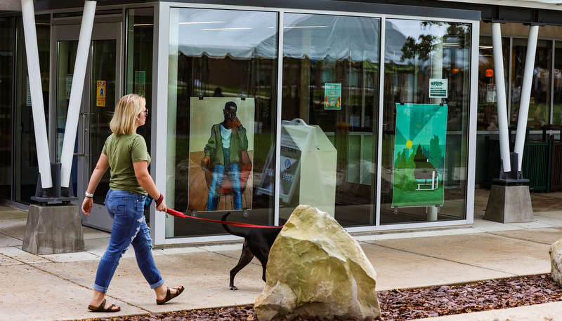 Art in the windows around campus