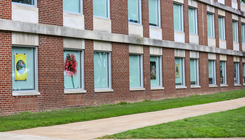 Art in the windows around campus