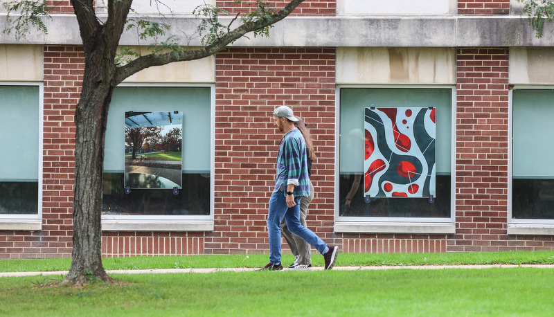 Art in the windows around campus