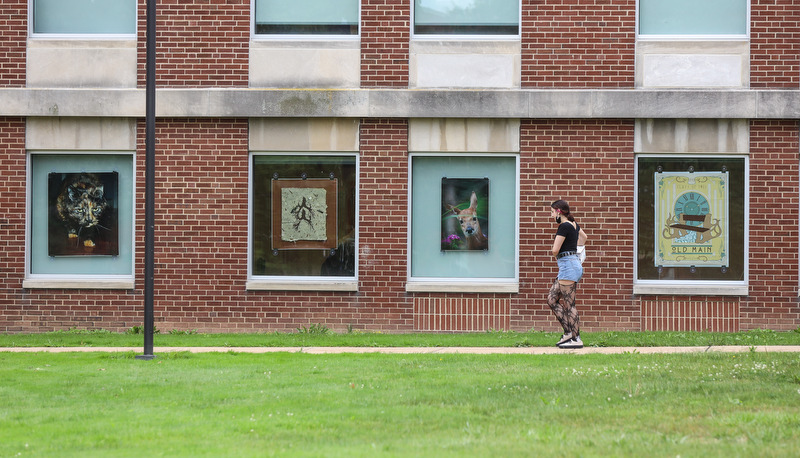 Art in the windows around campus