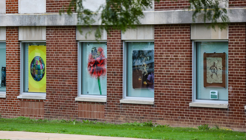 Art in the windows around campus