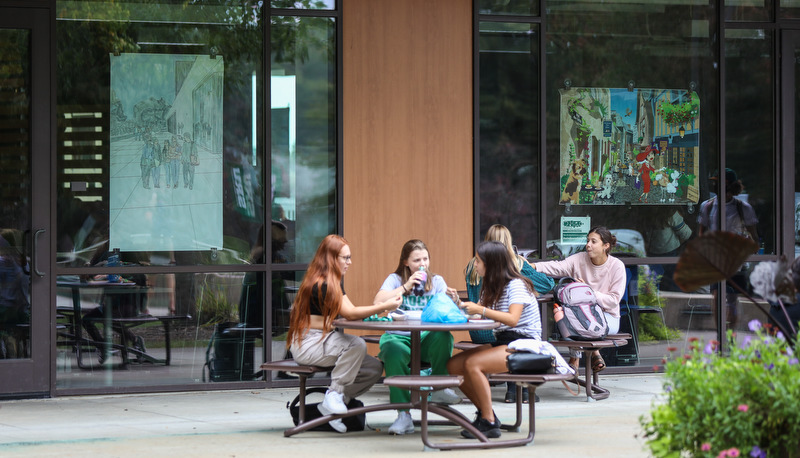 Art in the windows around campus