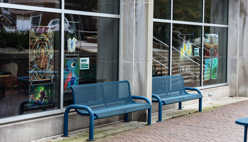 Art in the windows around campus