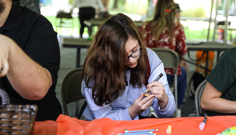 Students painting rocks