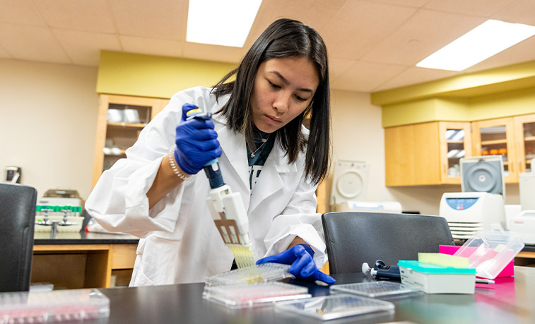 Student doing research