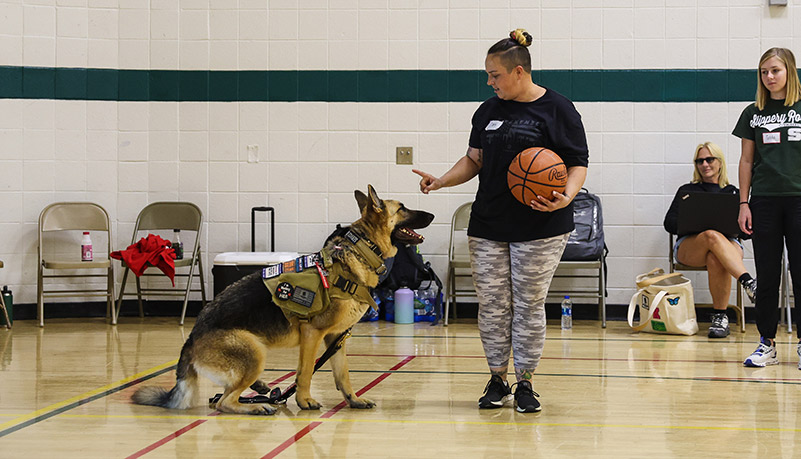 Wounded Vets playing sports