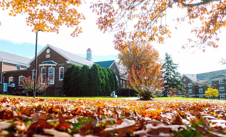 Maltby in the fall
