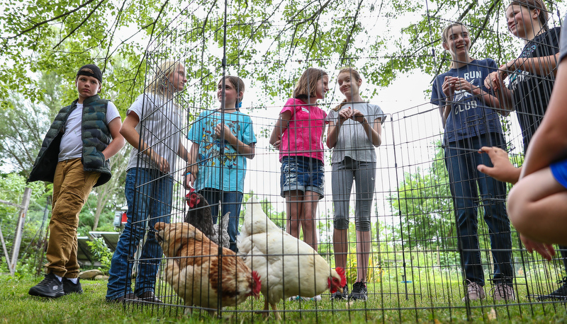 Children learning about sustainability