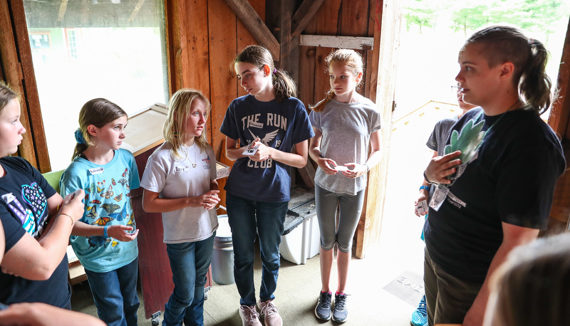 Children learning about sustainability