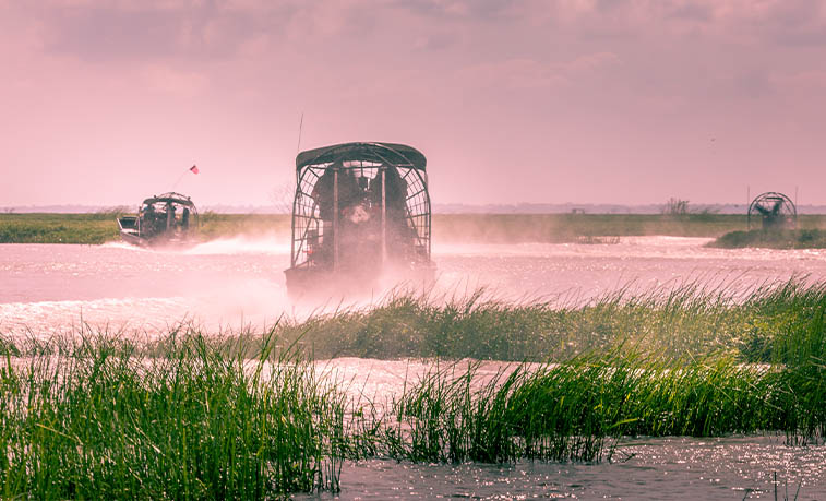 Fan boats on the Everglades