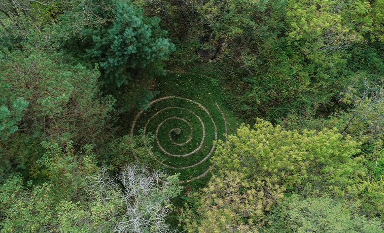 Ecotherapy garden