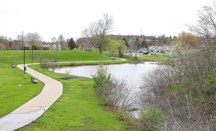 Ponds on campus