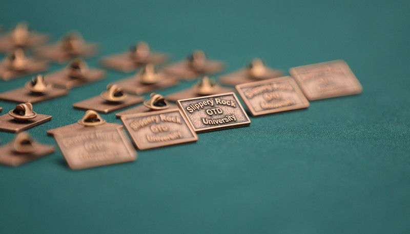 OTD Graduates receiving their pins