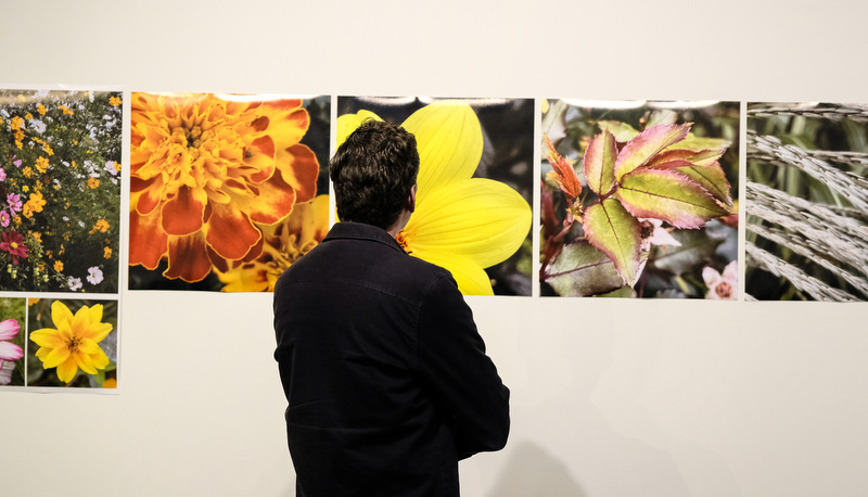 Art on display