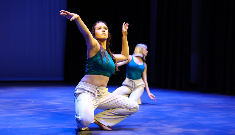 Dancers perform