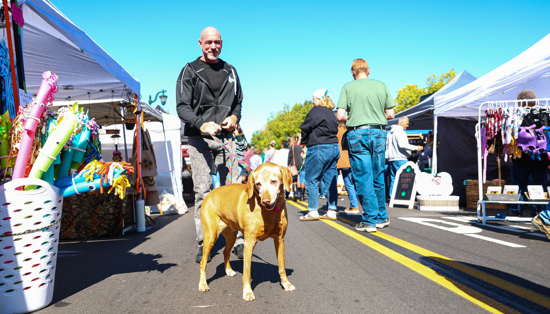 Visitors enjoying Villagefest