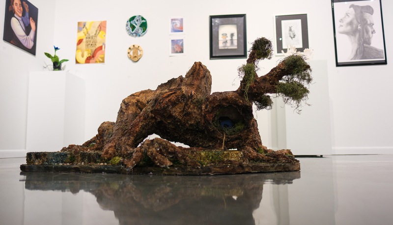 Art on display