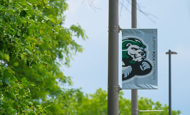 SRU has been named a College of Distintion