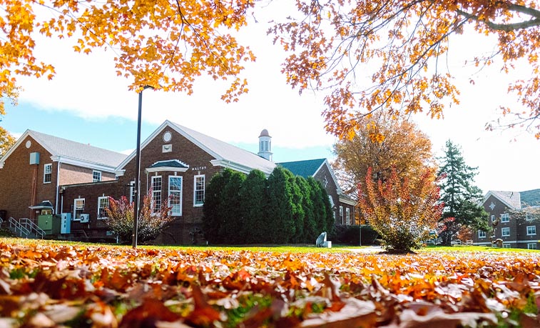 Maltby in the fall