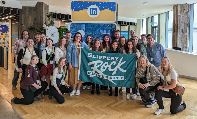 Students in Ireland