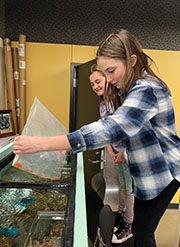 Students working with trout eggs