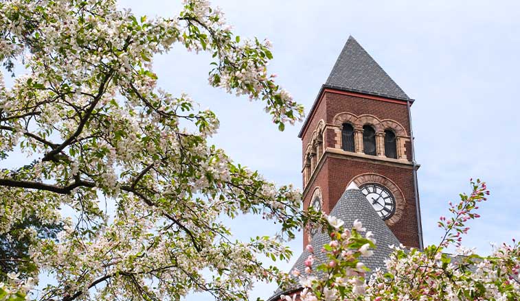 Old main