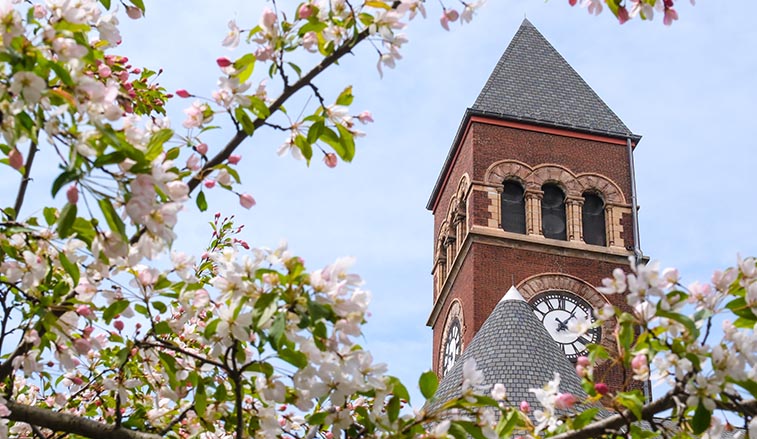 Council of Trustees to meet June 13 and 14