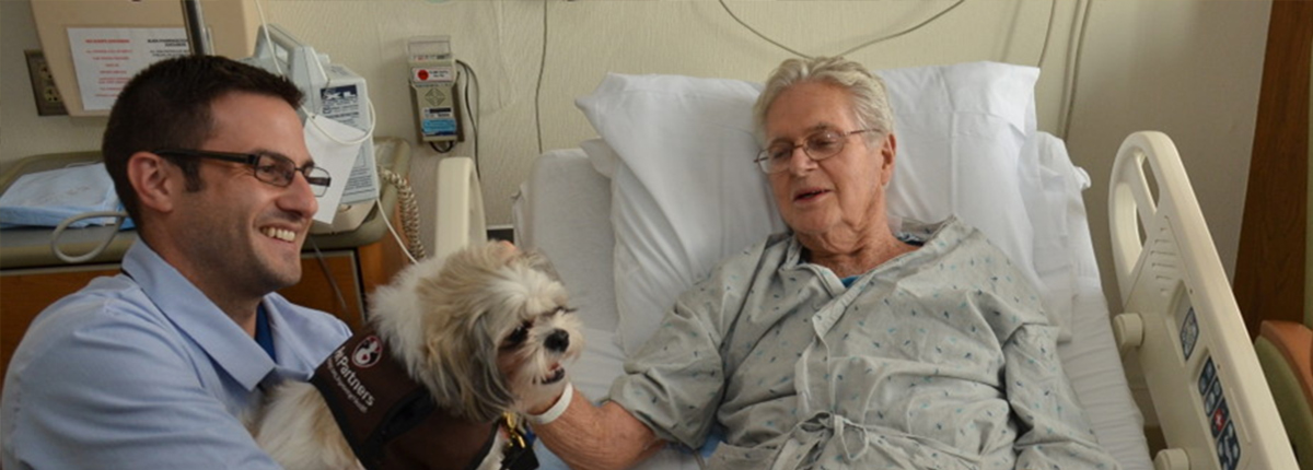 student working with a dog and a patient