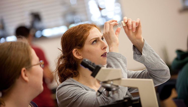 Biology student looking at a slide