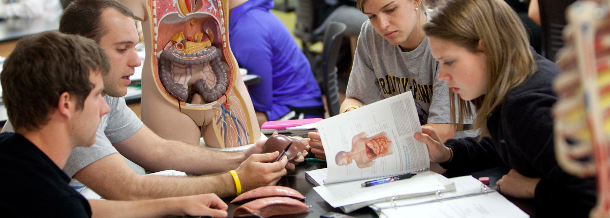 Students working in class