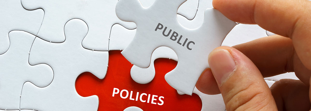 puzzle pieces saying public and policy on them