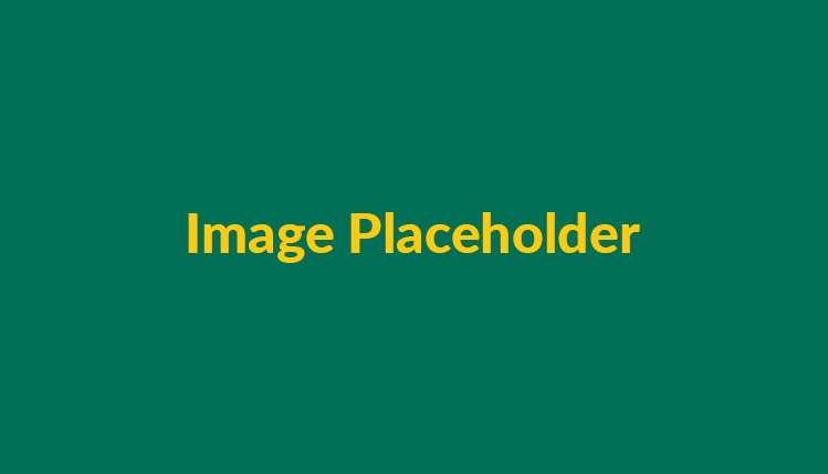 Carousel Placeholder
