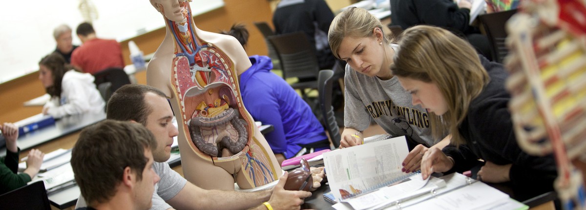 The Department of Biology offers 2 majors, 2 minors, and a specialization in Biology. 