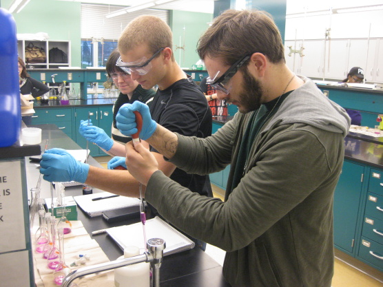 Chemistry students working in a lab