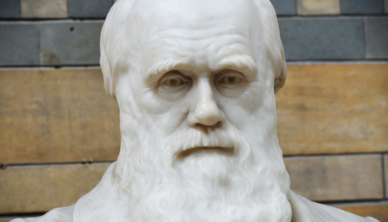 sculpture of charles darwin