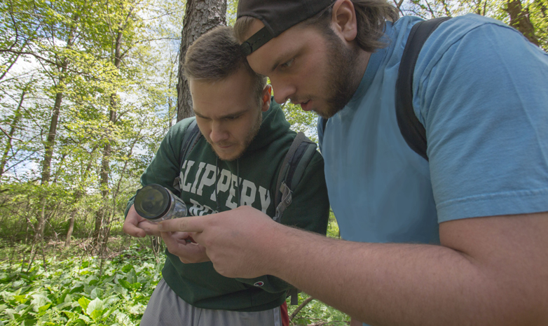 Slippery Rock University biology students on insect hunt