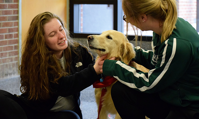 Paws and Relax therapy dog with students