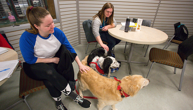 paws and relax event with students petting dogs
