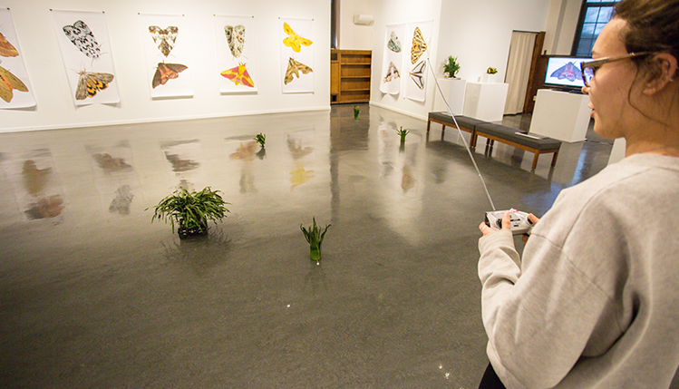 plantbot genetics art installation in gaulty art gallery
