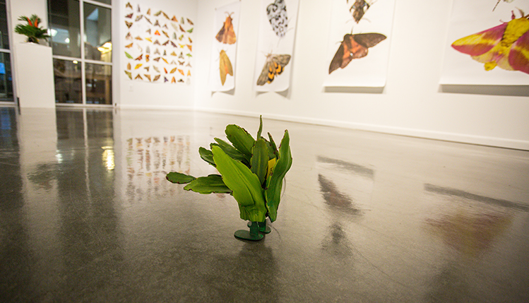 plantbot genetics art installation in gaulty art gallery