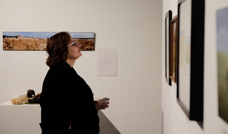 Lady looking at art