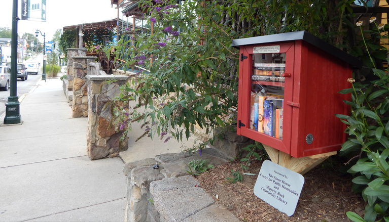 Little free library on Main Street near North Country Brewing Co. 